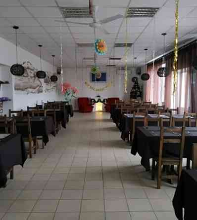 Продам. Кафе 540 м.кв. Підгородне, траса, вул.Шосейна. Дніпро