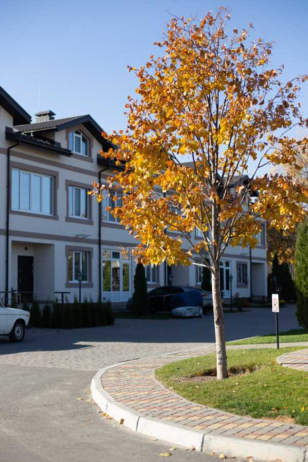 долгосрочная аренда 2-к таунхаус Бориспольский, Борисполь, 26000 грн./мес. Бориспіль - зображення 10