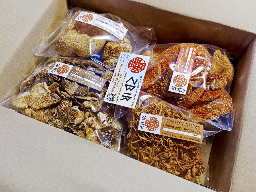 Мухомор ПАНТЕРНИЙ (Amanita Pantherina), сушені КАПЕЛЮШКИ, сезон 2025. БЕЗКОШТОВНА ДОСТАВКА Полтава - зображення 7