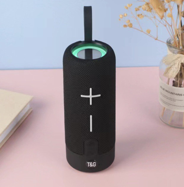 Колонка портативная Bluetooth T&G TG619C black черная Киев - изображение 3