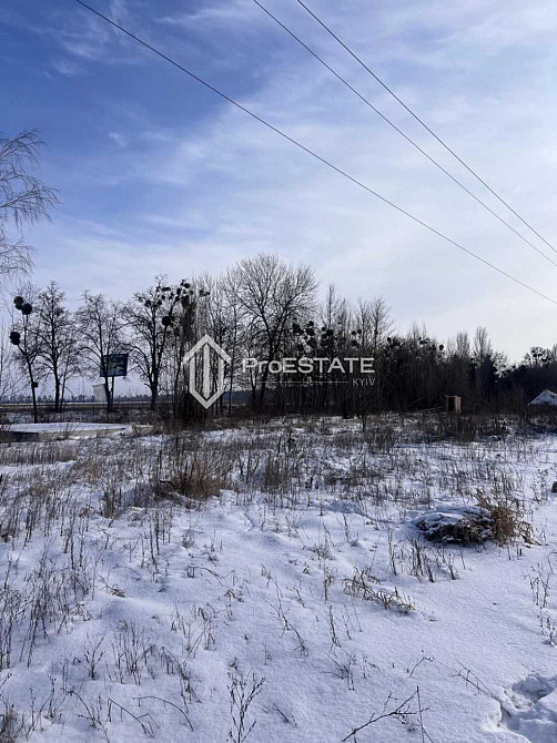 продажа земля сельскохозяйственного назначения Бориспольский, Гнедин, 60000 $  - зображення 2