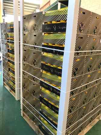 Продаем лимоны Киев