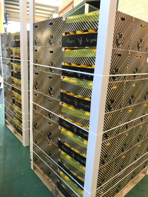 Продаем лимоны Київ - зображення 4