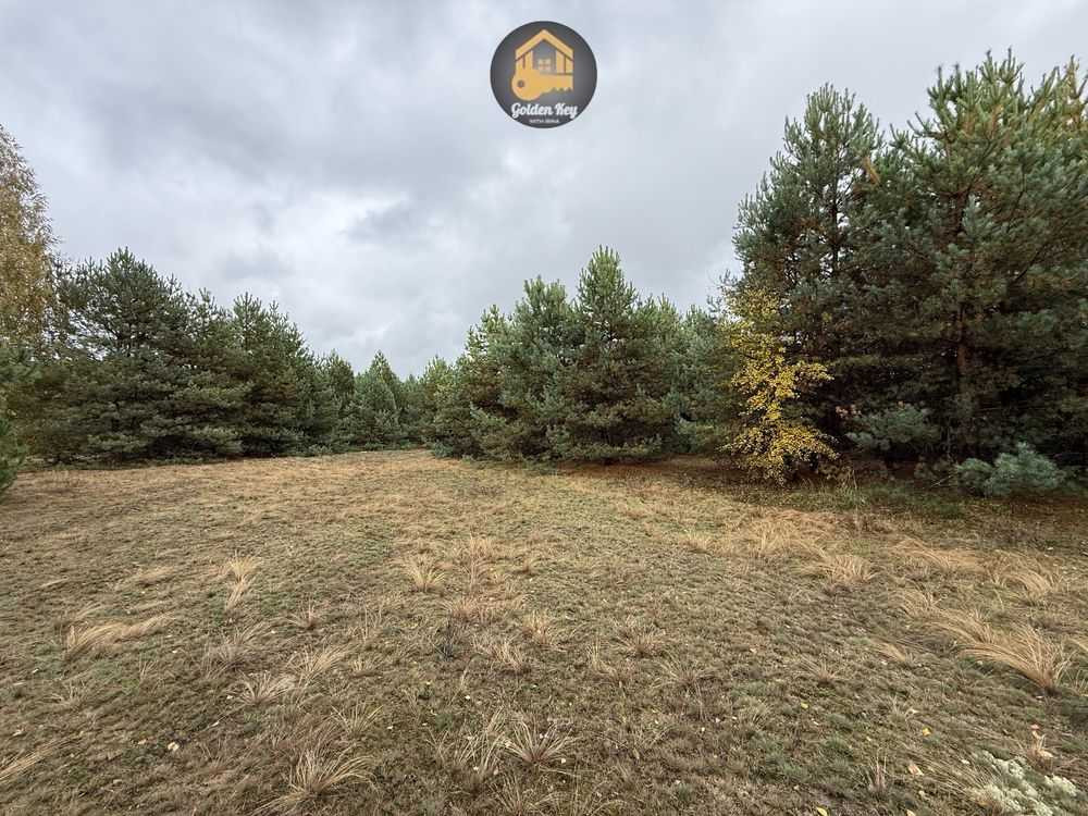 продажа участок под жилую застройку Вышгородский, Абрамовка, 10000 $  - зображення 2