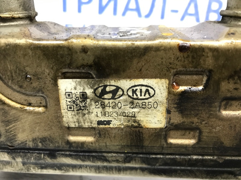 Радиатор EGR Kia Sportage 2010-2016 284162A850 (Арт. 41547) Київ - зображення 6