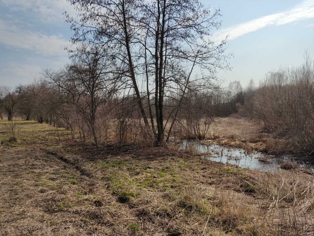 продажа земля сельскохозяйственного назначения Бориспольский, Старое, 262600 грн.  - зображення 3