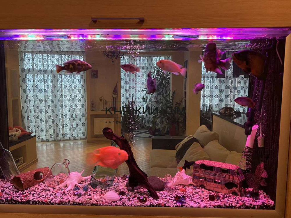 Оренда 3-кімнатної квартири ЖК Творець Київ - зображення 9