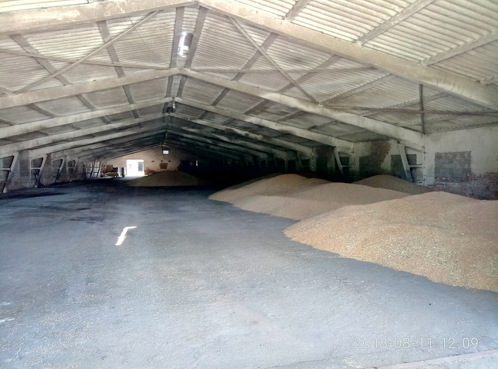 Продається діючий елеваторний комплекс з залізничною гілкою. Балта - зображення 5