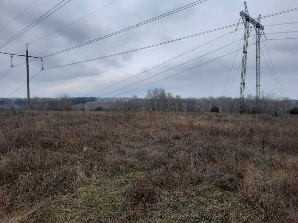 продажа земля сельскохозяйственного назначения Васильковский, Рославичи, 324600 грн.  - изображение 2