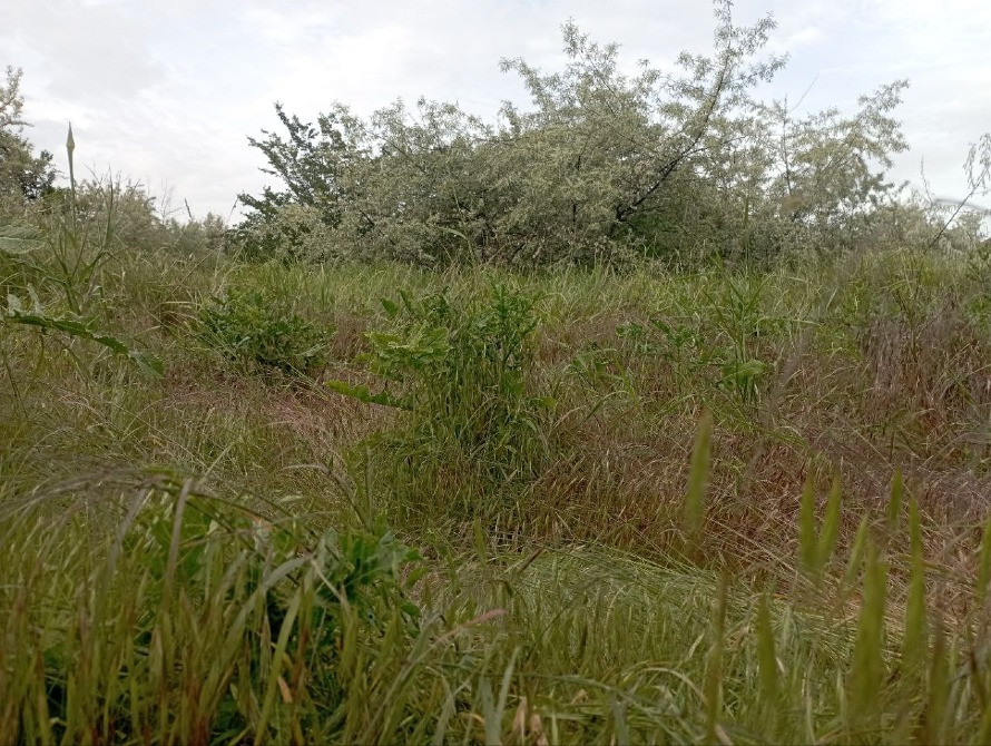 Участок в фонтанке возле церкви Одеса - зображення 2