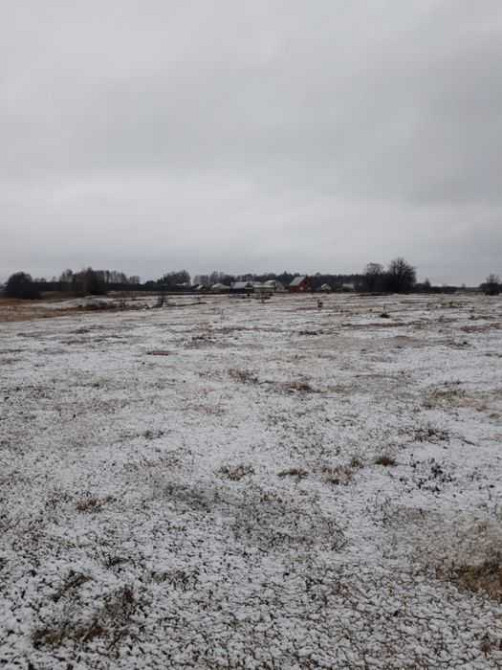 продаж ділянка під житлову забудову Ковельський, Ковель, 90000 грн. Ковель - изображение 2