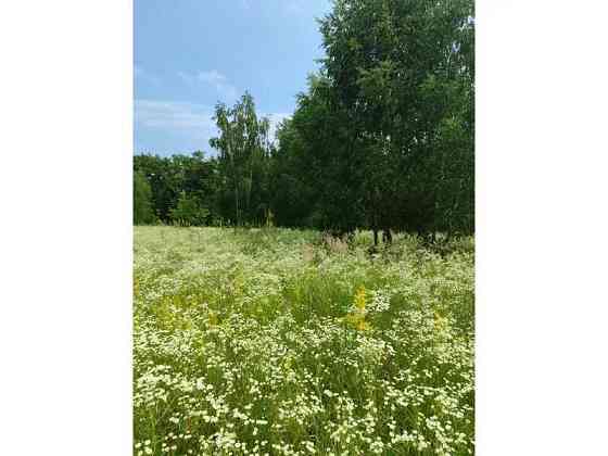 продажа земля сельскохозяйственного назначения Бородянский, Лубянка, 9370015 грн. 