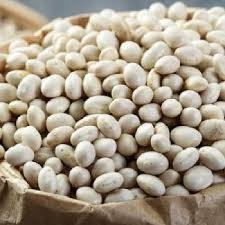 Закуповуємо квасолю Неві Бінс, Монро, Мавка, Докучаєвська Київ - зображення 1