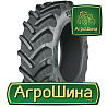 BKT AGRIMAX RT-765M 710/70R42 Киев