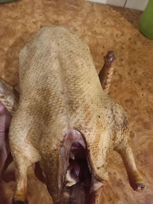 Продам тушки утей породи Мулард Кролевець - зображення 5