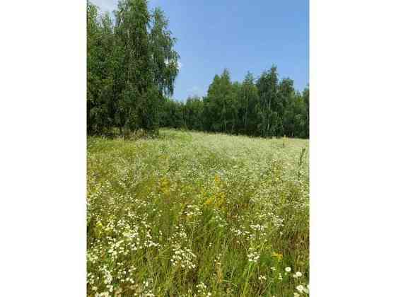 продажа земля сельскохозяйственного назначения Бородянский, Озера, 13082028 грн. 