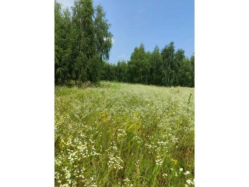 продажа земля сельскохозяйственного назначения Бородянский, Озера, 13082028 грн.  - зображення 3