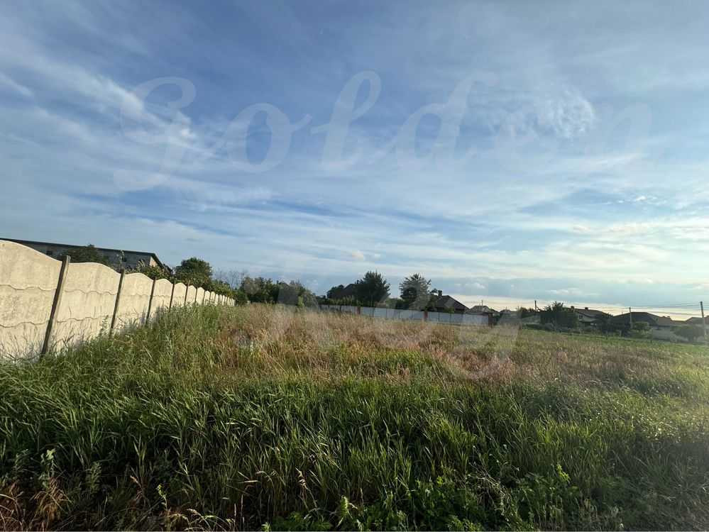 продажа участок под жилую застройку Бориспольский, Великая Александровка, 26000 $  - зображення 6