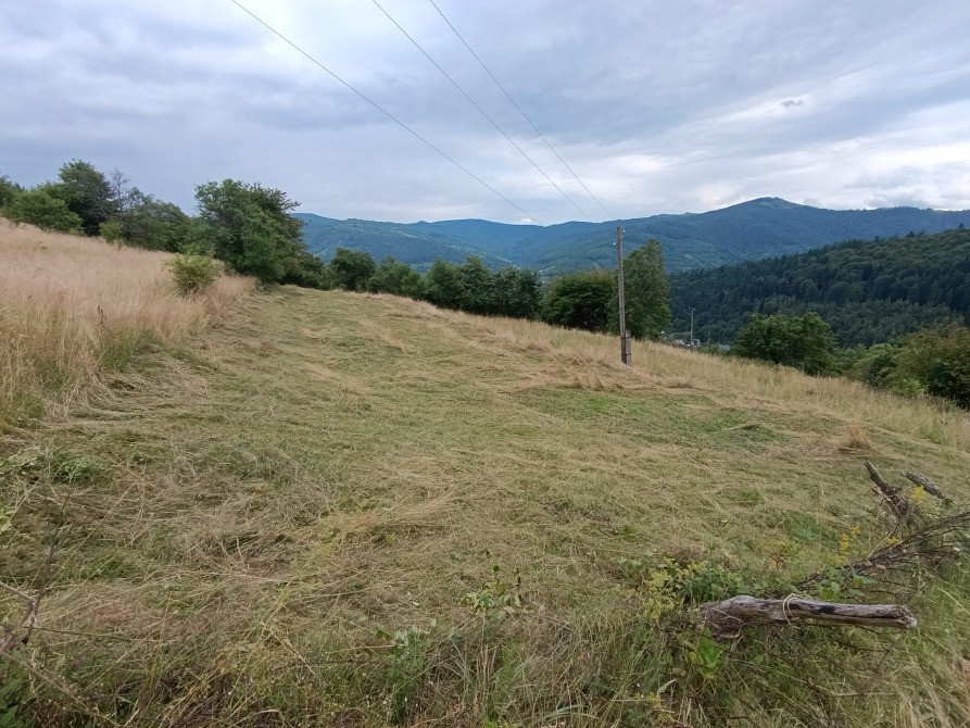 Земельна ділянка в Яремчі 0.12 га Яремче - зображення 3