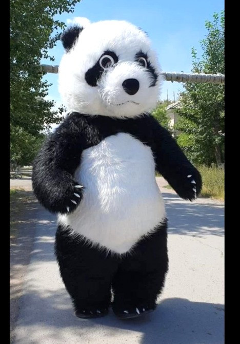 Белый медведь аниматор Белая Церковь Панда поздравление на день рождения. Белая Церковь - изображение 2