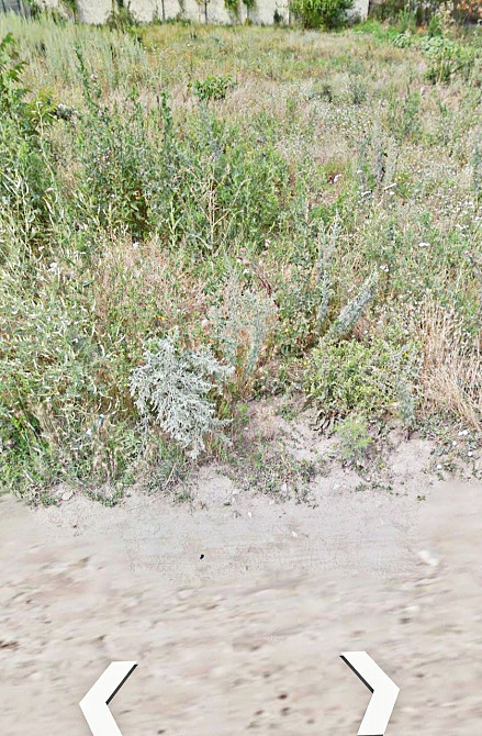 участок 10 соток в фонтанке Одеса - зображення 2