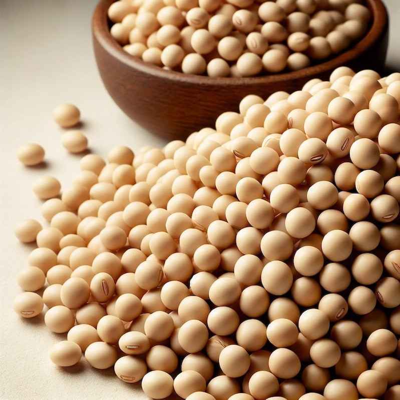 Куплю сою зі складу, поля, елеватора Хмельницький - зображення 1