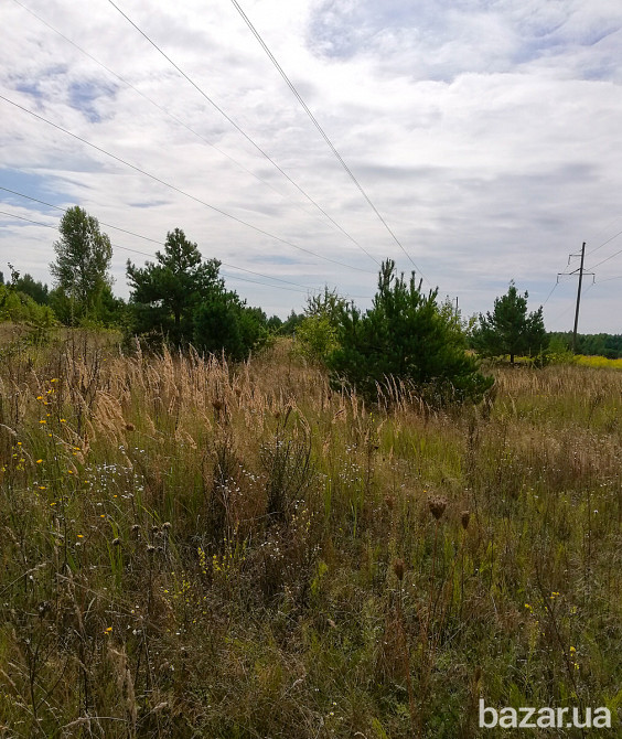 Продам ділянку 3,7 га ОСГ в смт.Макарів Макарів - зображення 10