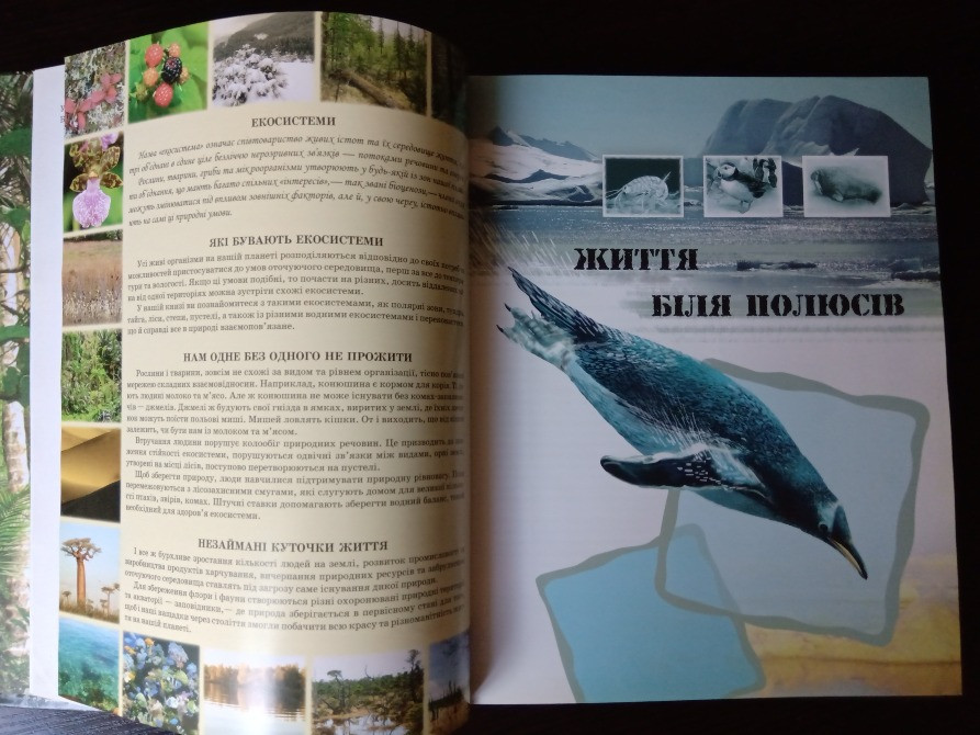 Книга Світ тварин. Львов - изображение 10