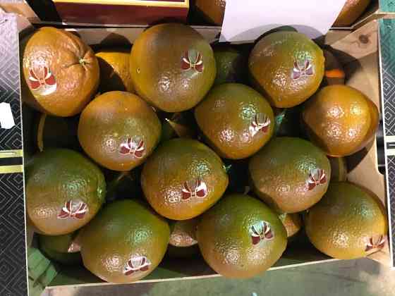 Продаем шоколадный апельсин Київ