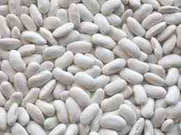 Купуємо оптом квасолю різних сортів на переробку, консервування Ужгород