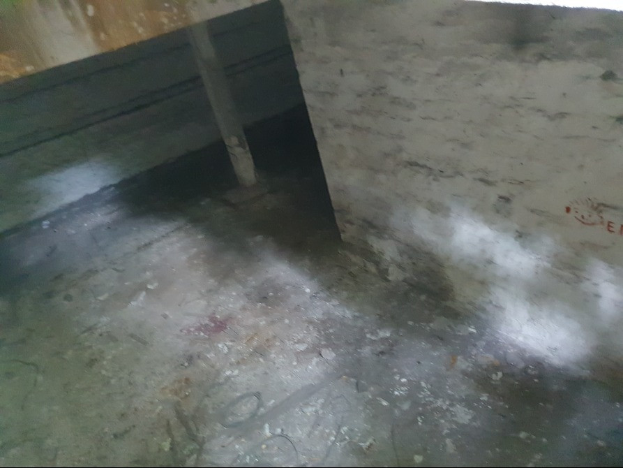 Продаж овощесховища Кам'янське (Дніпродзержинськ) - зображення 3