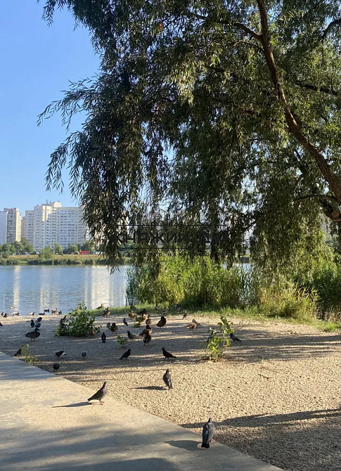 Продаж 3-х кімнатної біля парка та озера Позняки Київ - зображення 10