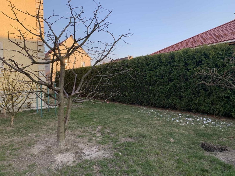 Аренда дома в с. Боярка. № 139088 Київ - зображення 6