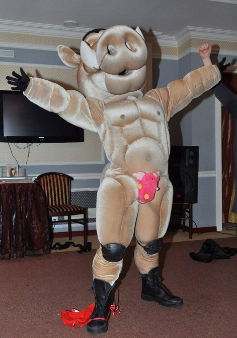 Стриптиз ростовых кукол на заказ с выездом Київ - зображення 4