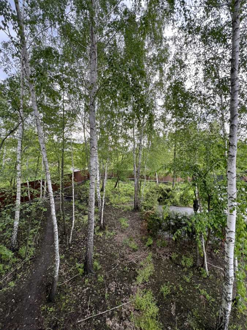 продажа 5-к дом Киево-Святошинский, Ирпень, 135000 $ Ирпень - изображение 8