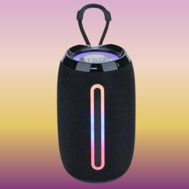 Колонка портативная Bluetooth T&G TG653 black черная Київ - зображення 1