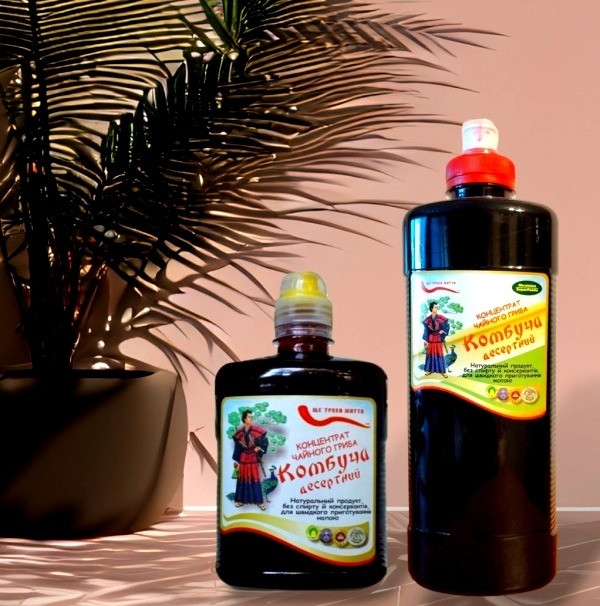 Комбуча десертний - концентрат чайного гриба, 1 л Одеса - зображення 1