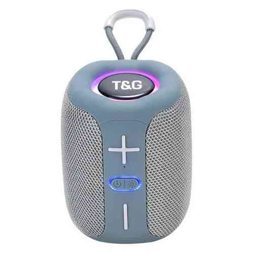 Колонка портативная Bluetooth T&G TG658 grey серая Київ