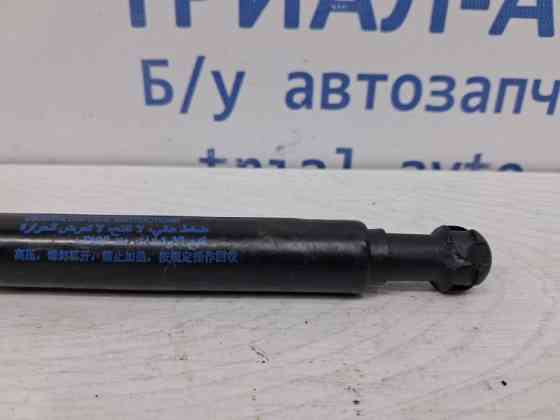 Амортизатор крышки багажника Infiniti Q50 2013- 844304GA0A (Арт. 60404) Киев