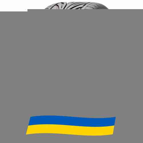 245/35 R18 Toyo Proxes T1R 88Y Легкова шина Киев