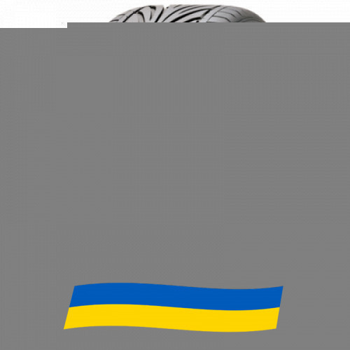 245/35 R18 Toyo Proxes T1R 88Y Легкова шина Киев - изображение 1