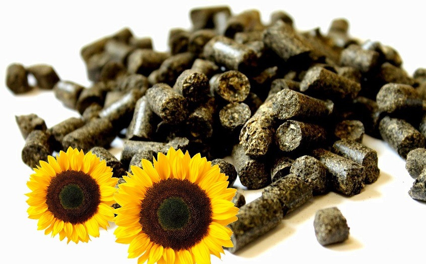 Пелети з лушпиння та дерева Брикети з лушпиння та дерева. Полтава - зображення 1