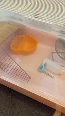 Клетка для хомяков MINI DUNA Ferplast, 50*35*25см, Италия Київ