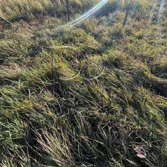 продажа участок под жилую застройку Киево-Святошинский, Гатное, 120000 $ 