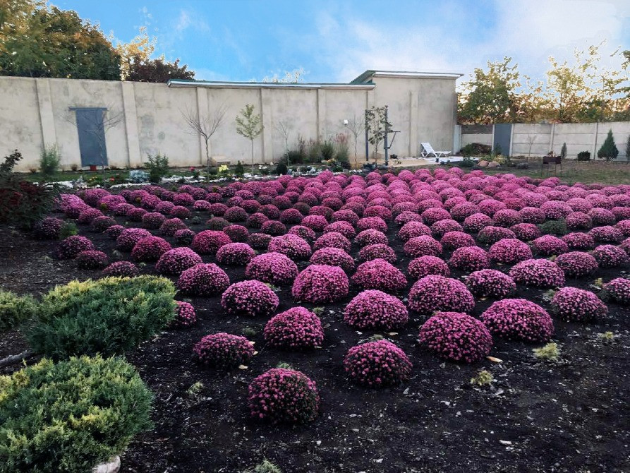 Купить дом в пригороде Одессы, село Холодная Балка, современный дом, 12км Одесса трассы Одесса-Киев Одесса - изображение 5