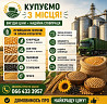 Постійно купуємо зернові та олійні з господарства. Киев
