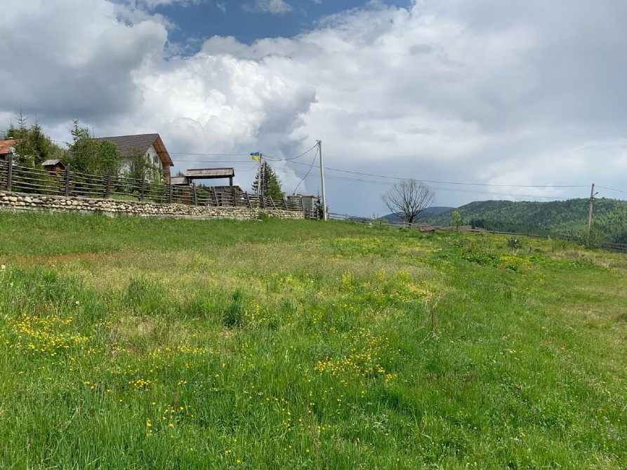 Земельна ділянка в с. Поляниця 0.20 га(уч. Подина) Яремче - изображение 6