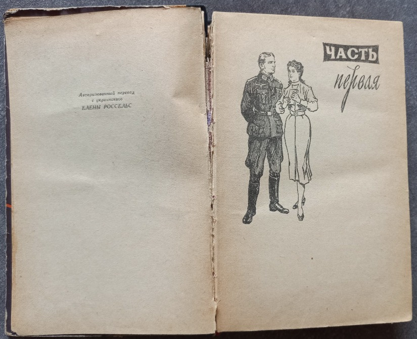 И один в поле воин. Юрий Дольд-Михайлик Харьков - изображение 4