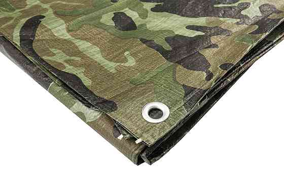 Тент MASTERTOOL CAMOUFLAGE 10х12 м 90 г/м² 79-8012 Харків