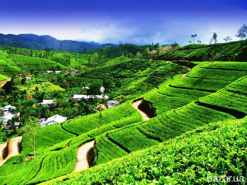 Сухофрукты Київ - зображення 1